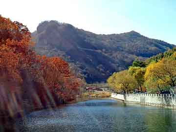 管家婆黑白马报图库，galeonzo